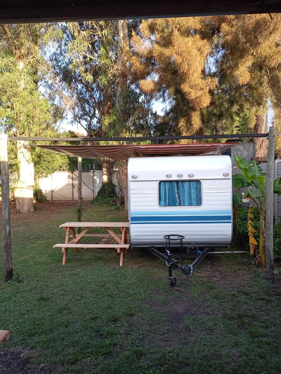 Naranjos Mar del Plata