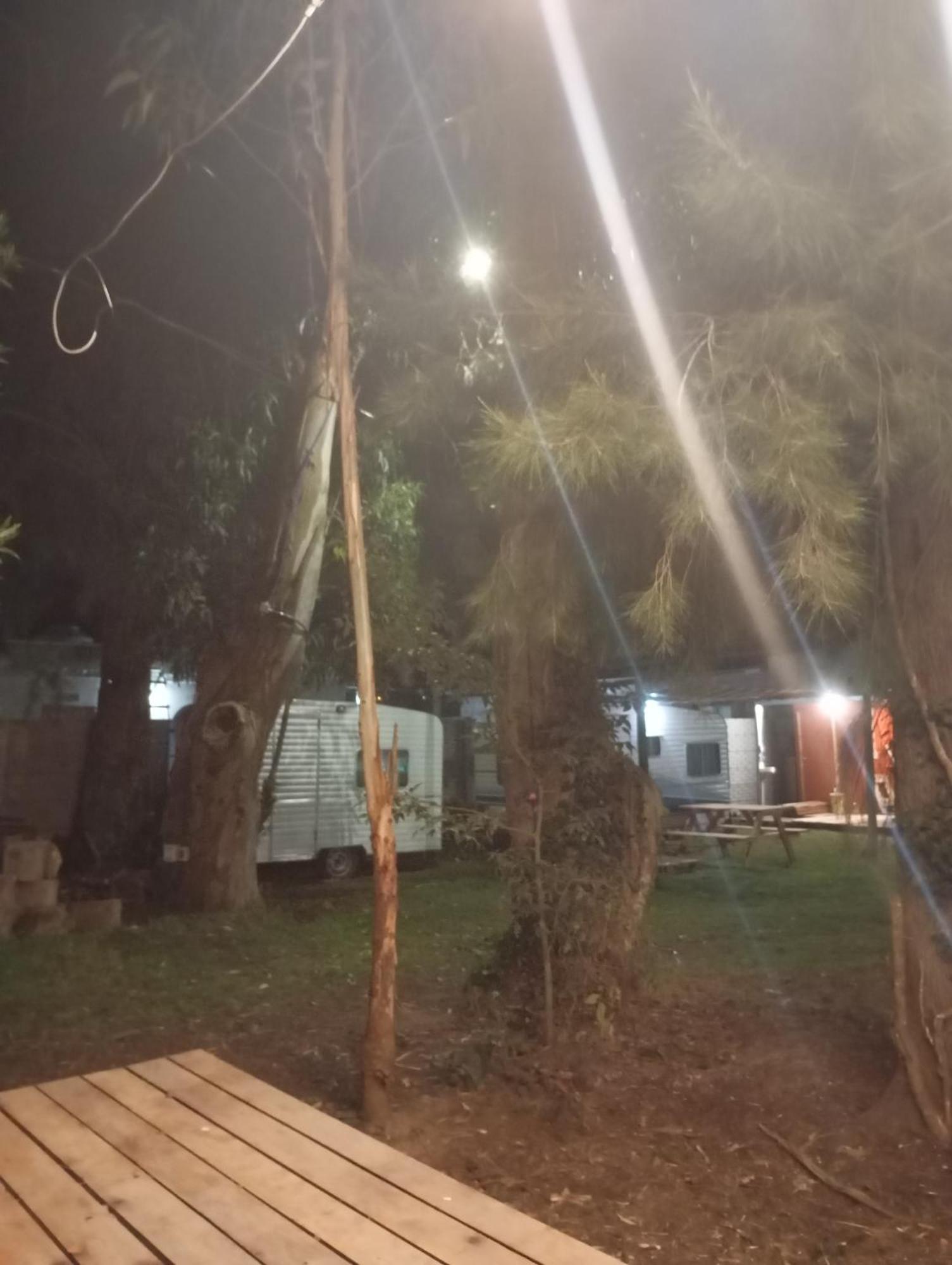 Camping Naranjos *